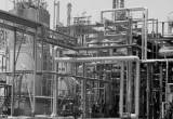 Photo Alexandria Mineral Oils Co. (AMOC) - Number 25798