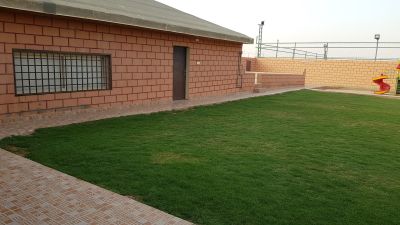 بانوراما القصيم للبرمجة والتصميم