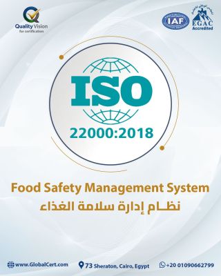 كوالتي فيجن