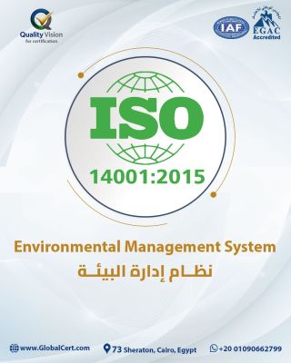 كوالتي فيجن