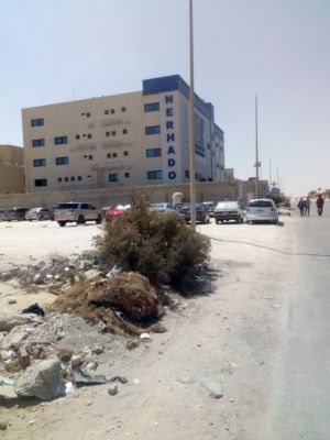 نيرهادو إنترناشيونال
