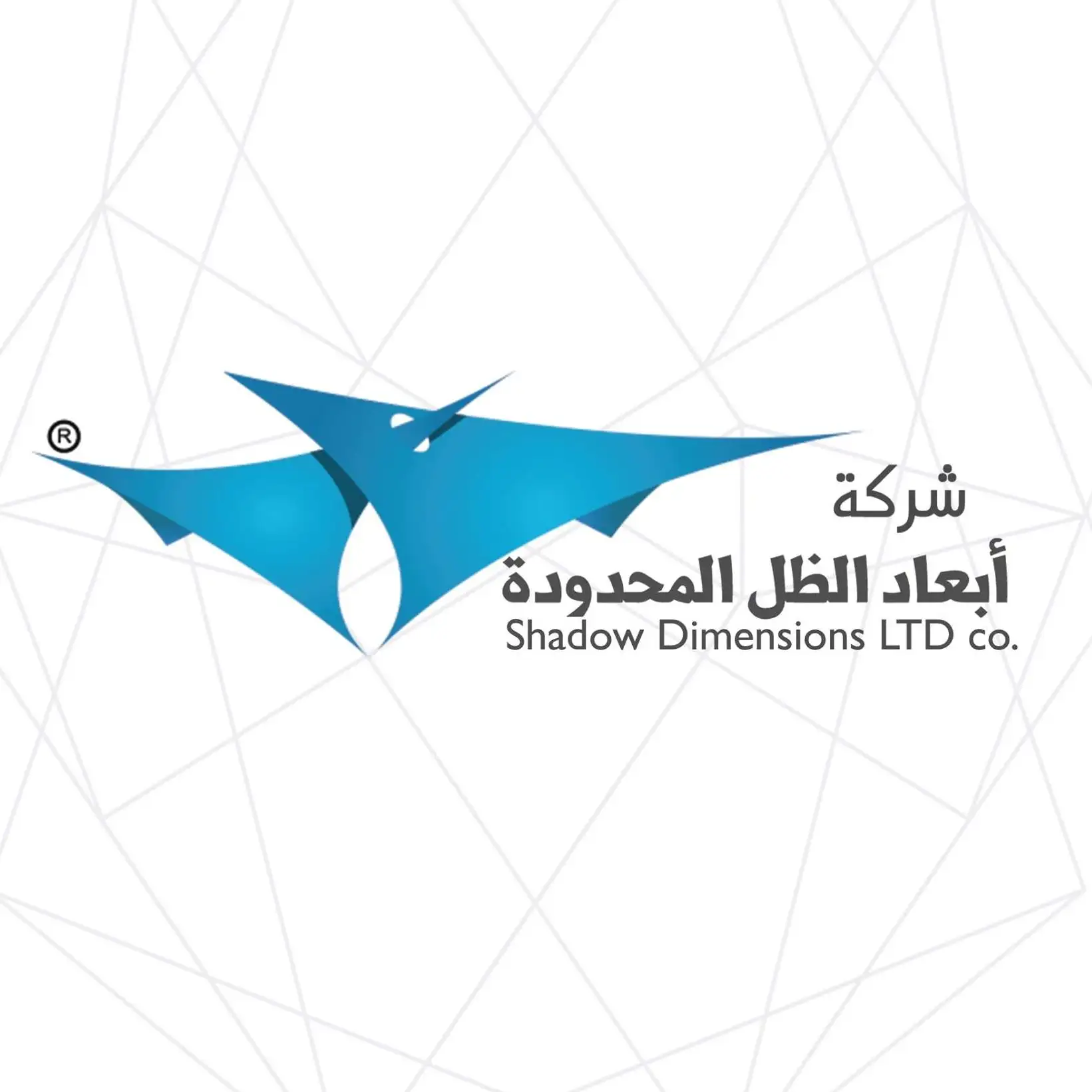 Shadow Dimensions LTD Logo