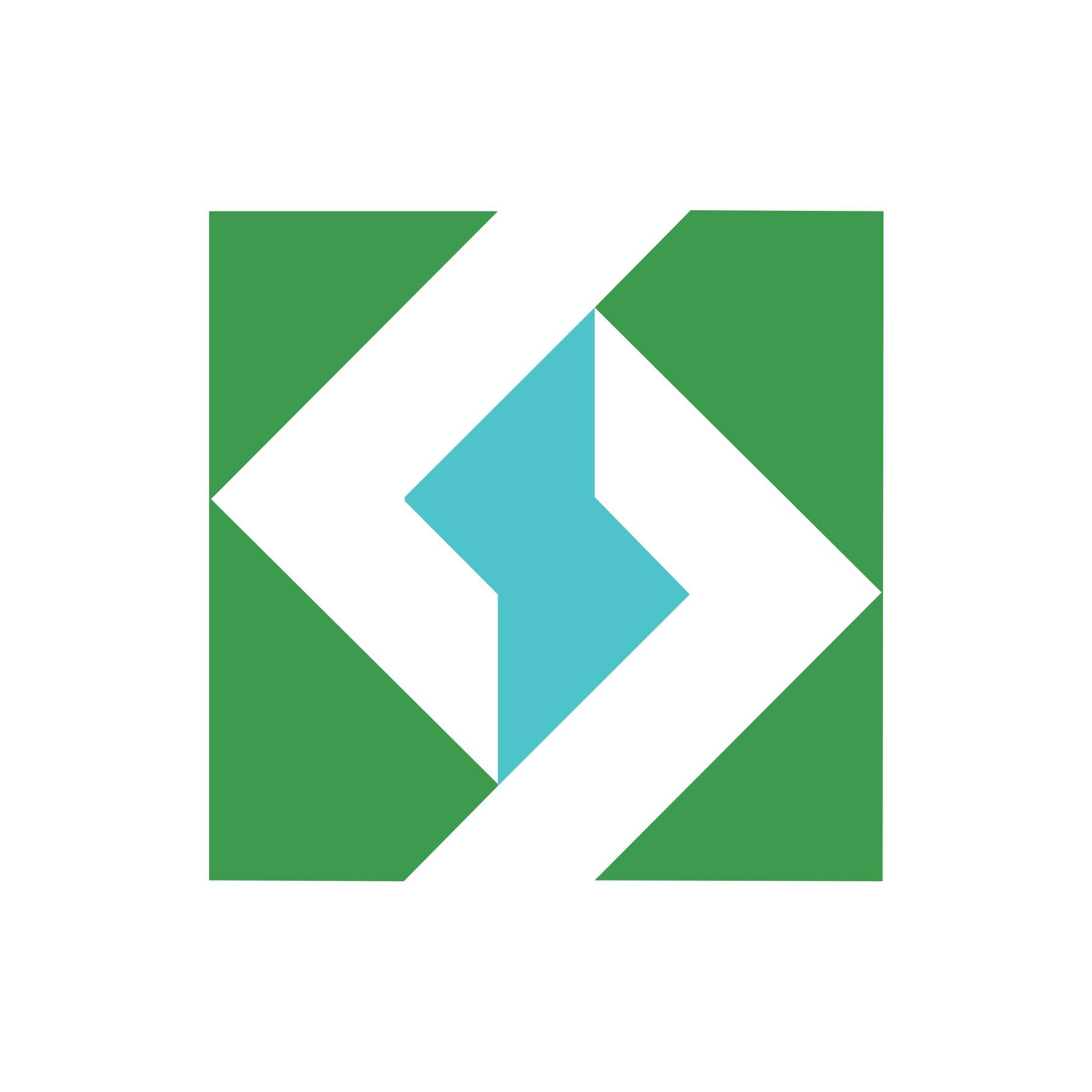 LS Egypt  Logo