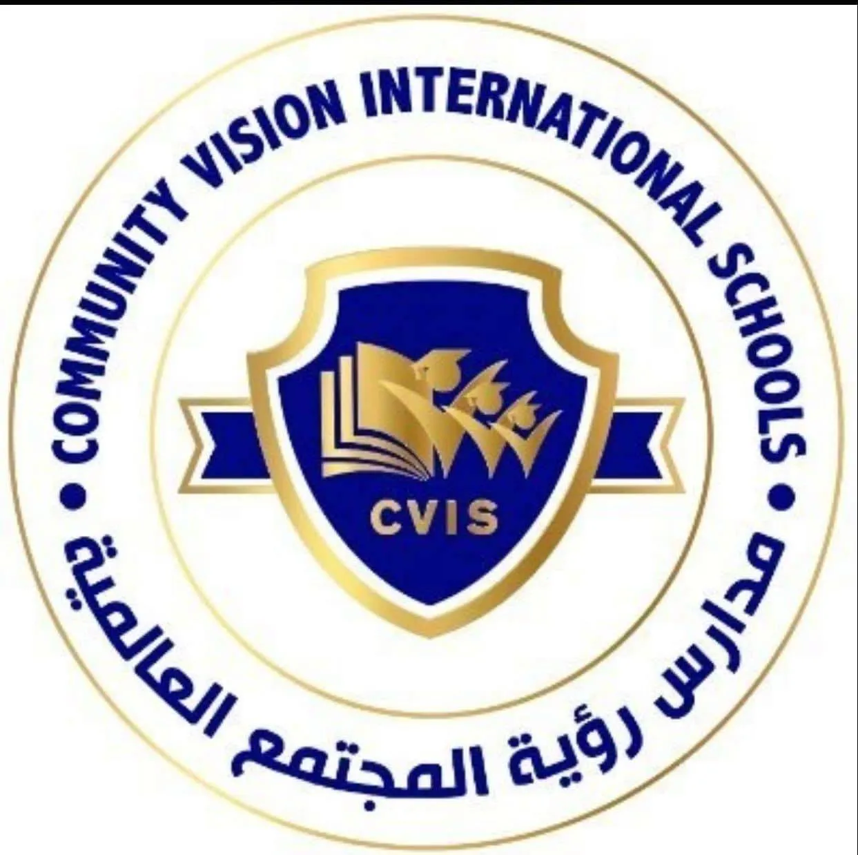 Community Vision International Schools Logo