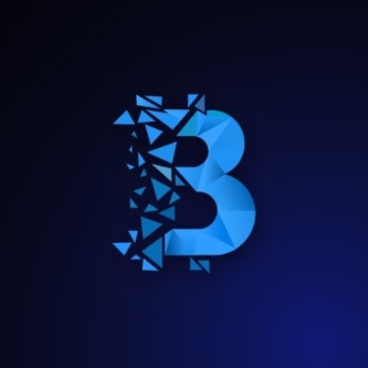 بلوك تشين لايف - Blockchain Life Logo