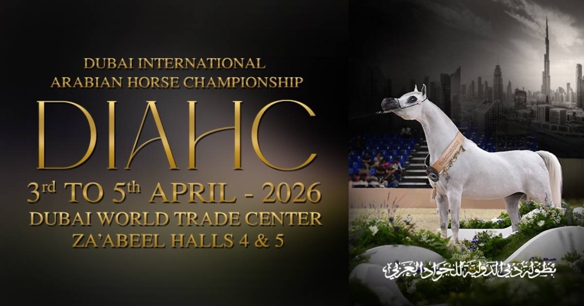 Dubai International Arabian Horse Championship
